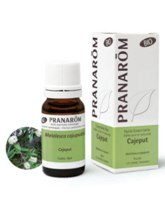 Pranarôm Huile essentielle Cajeput Bio - 10ml