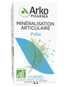 Arkopharma Arkogélules Prêle Bio - 45 Gélules