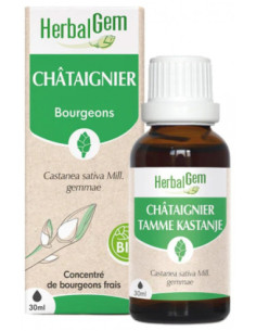 HerbalGem Châtaignier Bio - 30 ml