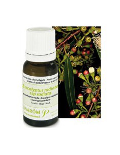 Huile essentielle d'Eucalyptus Radié - 10 ml 2