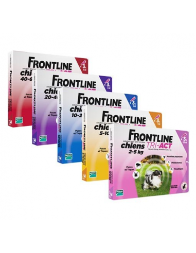Frontline tri-Act chiens 10-20kg, 3 pipettes