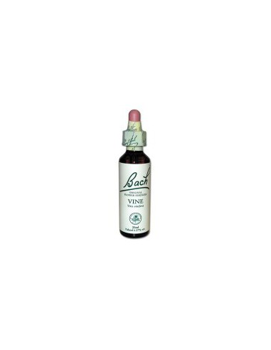 Fleurs de Bach Original 32 Vine (Vigne) - 20ml