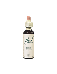 Fleurs de Bach Original 24 Pine (Pin Sylvestre), 20ml