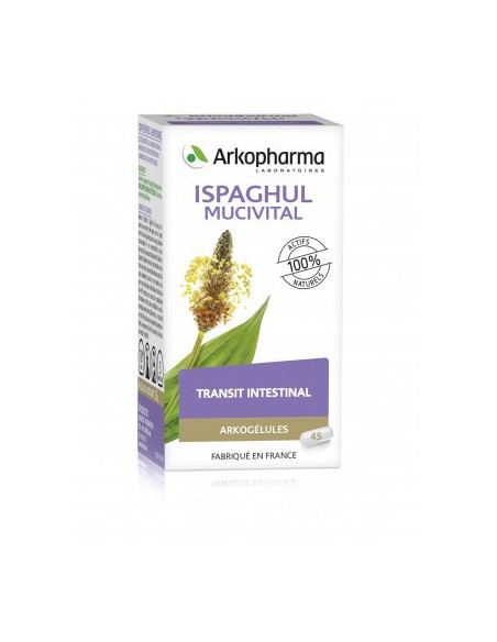 Arkogélules Ispaghul Mucivital - 45 gélules