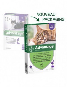 Bayer Advantage 80 Solution Antipuce Pour Chat et Lapin...