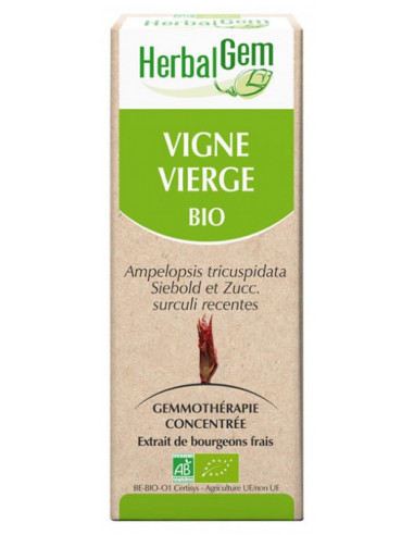 HerbalGem Bio Vigne Vierge - 30 ml