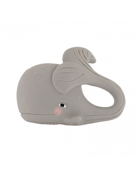 Hévéa Gorm la baleine