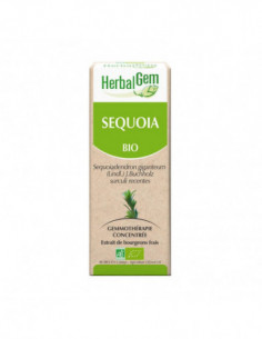 HerbalGem sequoia bio - 30ml