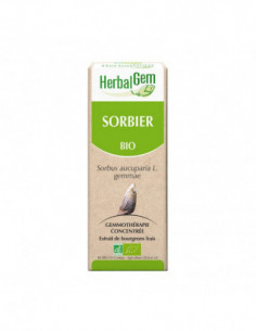 HerbalGem sorbier bio - 30ml