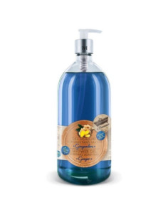 Petits Bains de Provence Douche Gingembre - 1L