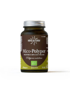 Hifas da Terra Mico-polypor - 70 capsules
