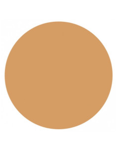 Vichy Liftactiv Flexiteint Fond de Teint Anti-Rides SPF20...