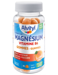 Alvityl Magnésium Vitamine B6 Abricot 45 Gummies