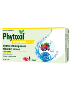 Sanofi Phytoxil Gorge Irritée Fruits Rouges - 16 Pastilles