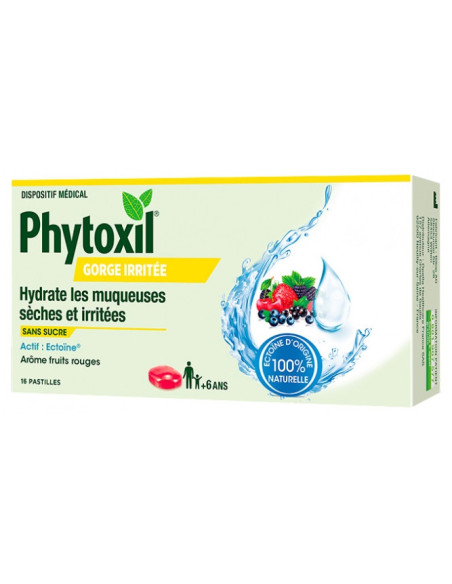 Sanofi Phytoxil Gorge Irritée Fruits Rouges - 16 Pastilles