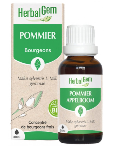 HerbalGem Pommier Bio - 30 ml