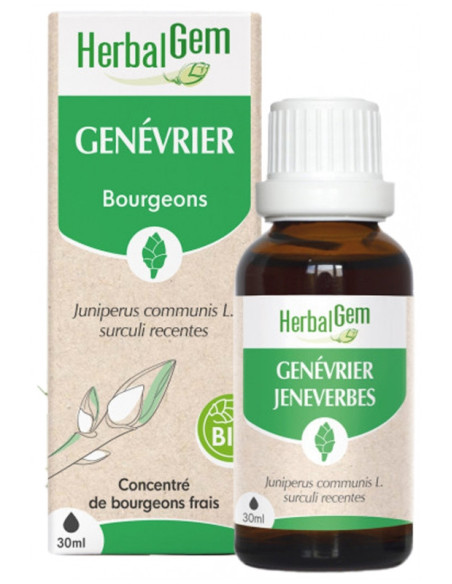 HerbalGem Genévrier Bio - 30 ml