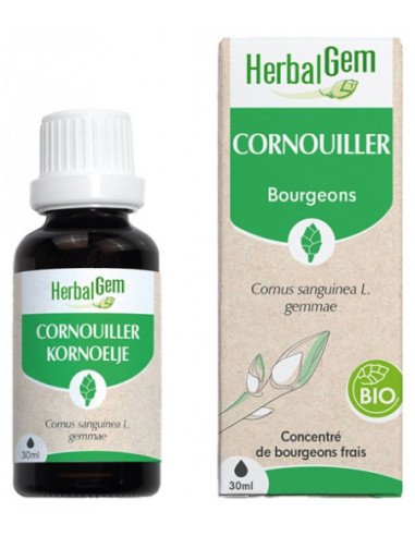 HerbalGem Cornouiller Bio - 30 ml