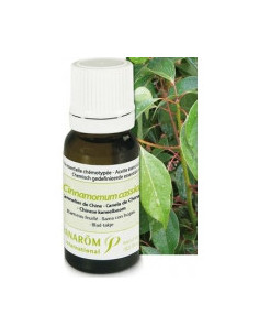 Huile essentielle cannelier de chine - 10 ml 2