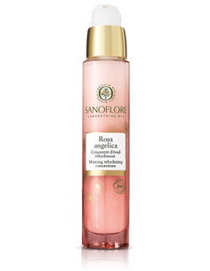Concentré Rosa Angelica Certifié Bio - 30ml