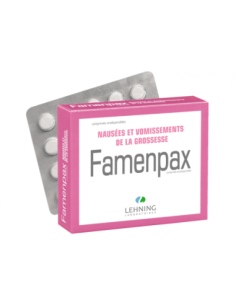 FAMENPAX, comprimé orodispersible - 40 comprimés 2