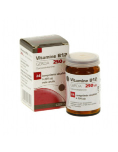 VITAMINE B12 GERDA 250 microgrammes, comprimé sécable - 24 comprimés