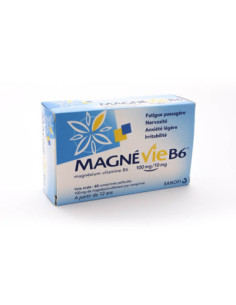 MAGNEVIE B6 100mg/10mg, comprimé pelliculé- 2 x 60 comprimés 2