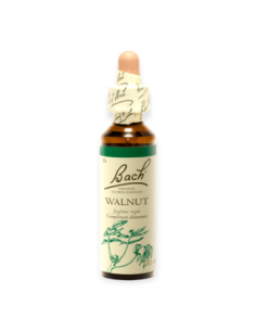 Fleurs de Bach Original 33 Walnut (Noyer) - 20ml