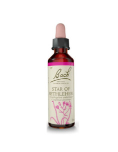 Fleurs de Bach Original 29 Star of Bethlehem (Étoile de Bethlehem) - 20ml