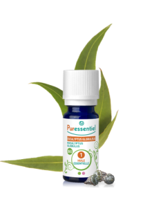 Huile Essentielle Eucalyptus Globuleux Bio - 10ml
