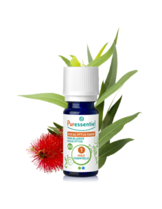 Huile Essentielle Eucalyptus Radié Bio - 10ml