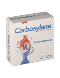 CARBOSYLANE - 48 gélules 2