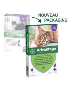 Bayer Advantage 80 Solution Antipuce Pour Chat et Lapin de 4kg et Plus - 4 Pipettes