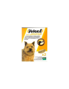 Veloxa Sécables Pour Chiens Arôme Boeuf - 4 Comprimés