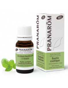 Huile Essentielle Basilic Exotique Bio - 10ml