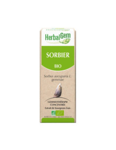 HerbalGem sorbier bio - 30ml