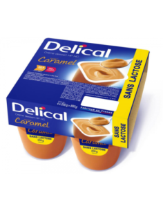 Délical Crème Dessert HP/HC Sans Lactose Caramel - 4 x 200 g
